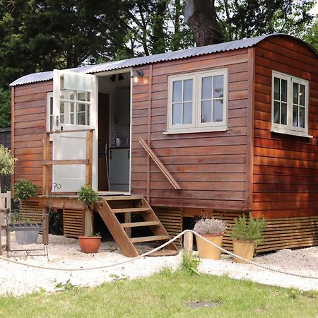 Cobo Cottage Chichester Bagian luar foto
